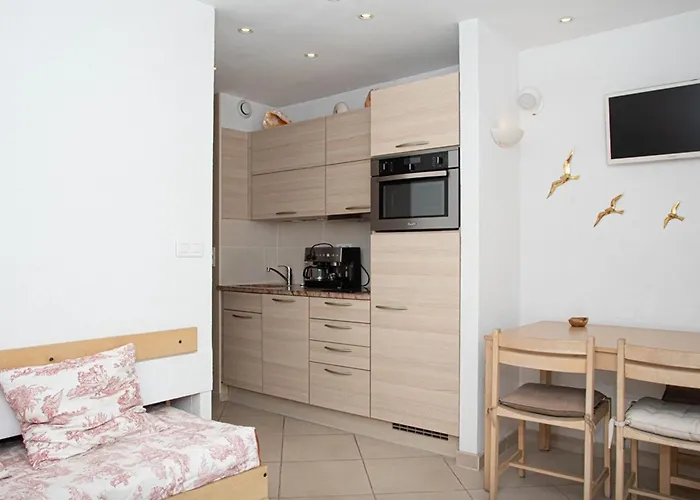 4 Pers Au Lavandou, Climatise - Fr-1-803-57 公寓 勒拉旺杜